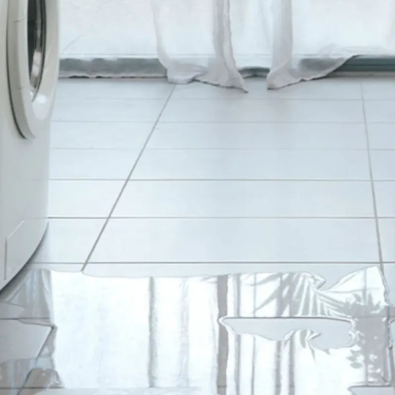 Appliance Leak Cleanup in Howard, KS