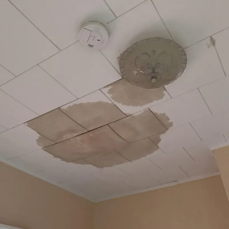 Ceiling Water Damage Repair in Howard, KS