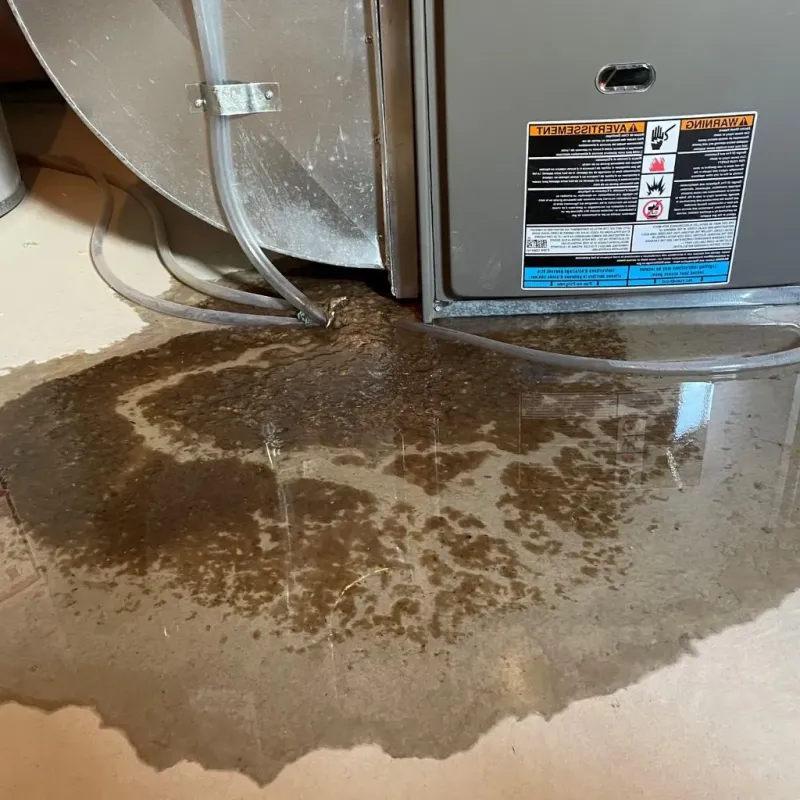 Pipe Burst and Leak Restoration in Howard, KS